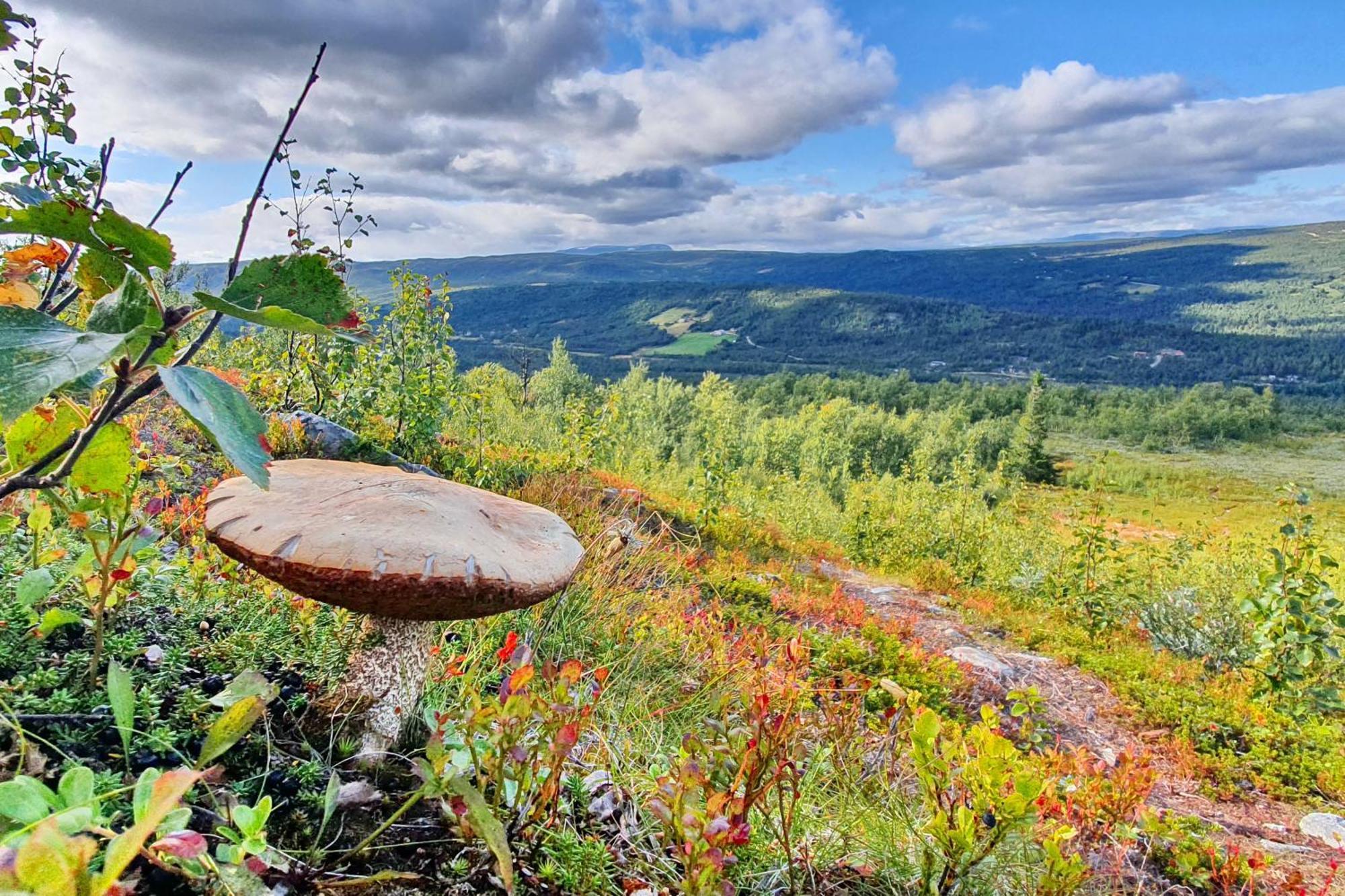 Dagali Fjellpark Leilighet Eksteriør bilde
